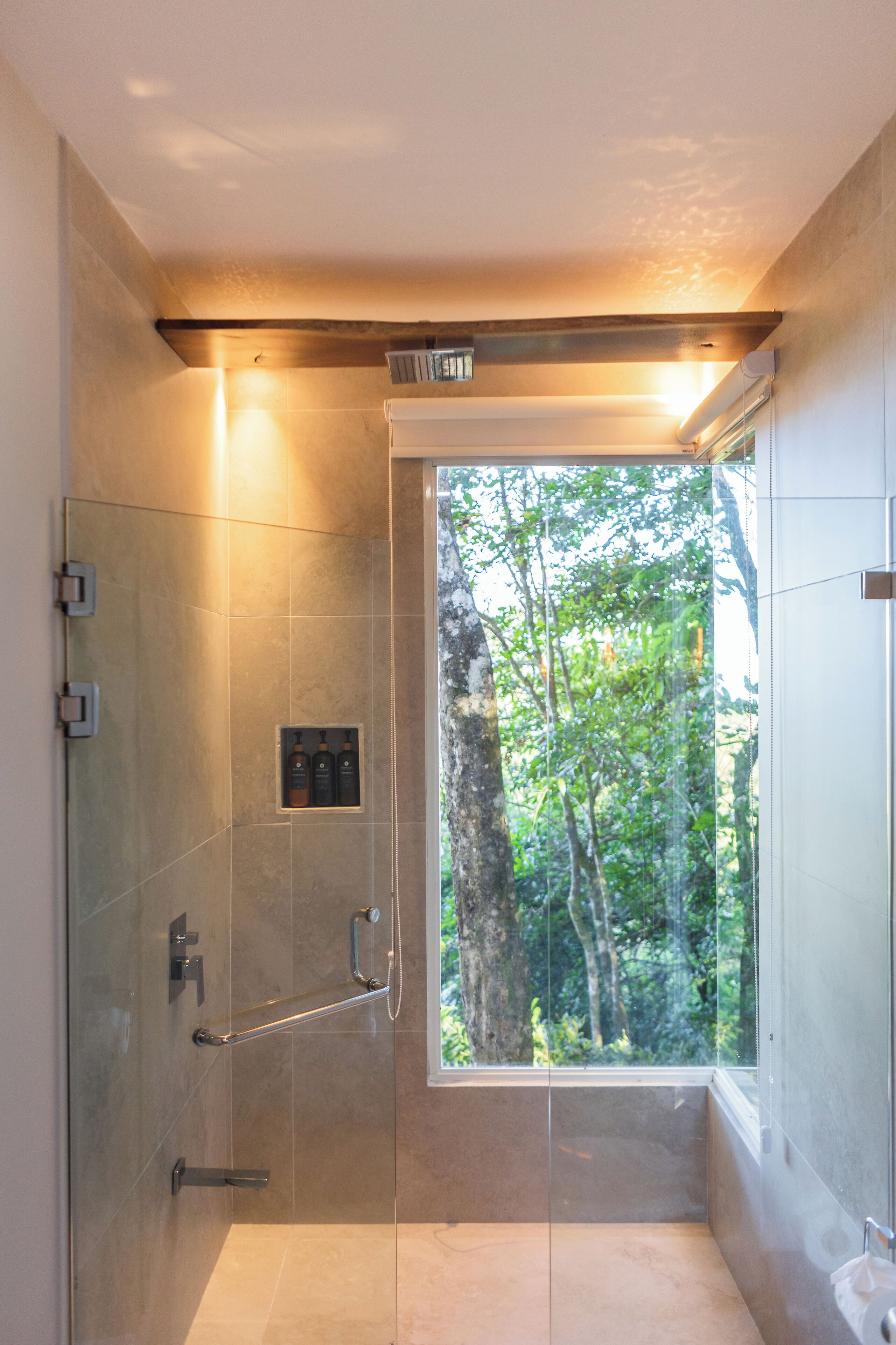 Um chuveiro moderno com porta de vidro, prateleira embutida com produtos de higiene e vista para árvores através da porta.