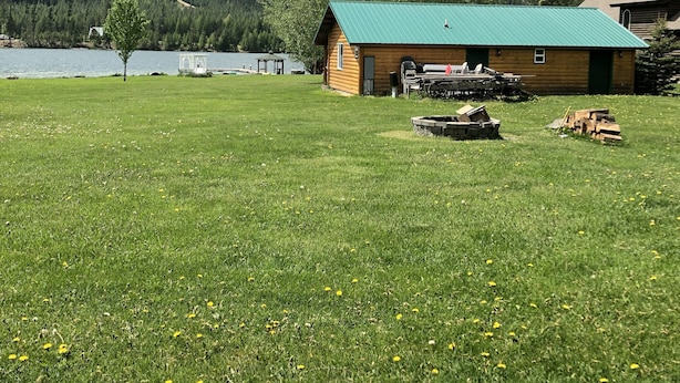 A cabin with a green roof, surrounded by a grassy field with dandelions, near a lake and forested mountains.