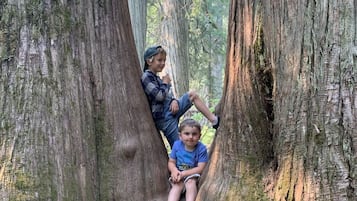 Jardines del alojamiento