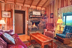 Fireplace - MOUNTAIN HIGH CABIN! Views from TN to NC! HOT TUB, SECLUDED, AND WIFI! (Newport)