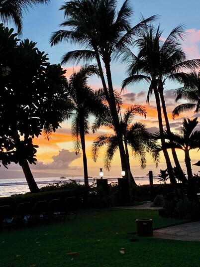 MAUI LAHAINA SHORES #105
OCEAN-BEACH FRONT LOCATION GROUND FLOOR 
NO RESORT FEE
