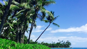 Una playa tropical con palmeras y exuberante vegetación.