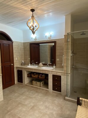 Hair dryer, towels, soap, shampoo