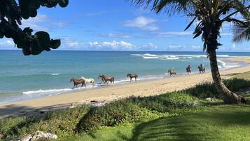 Aan het strand, ligstoelen aan het strand, strandlakens