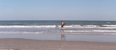 Beach nearby, sun-loungers, beach towels