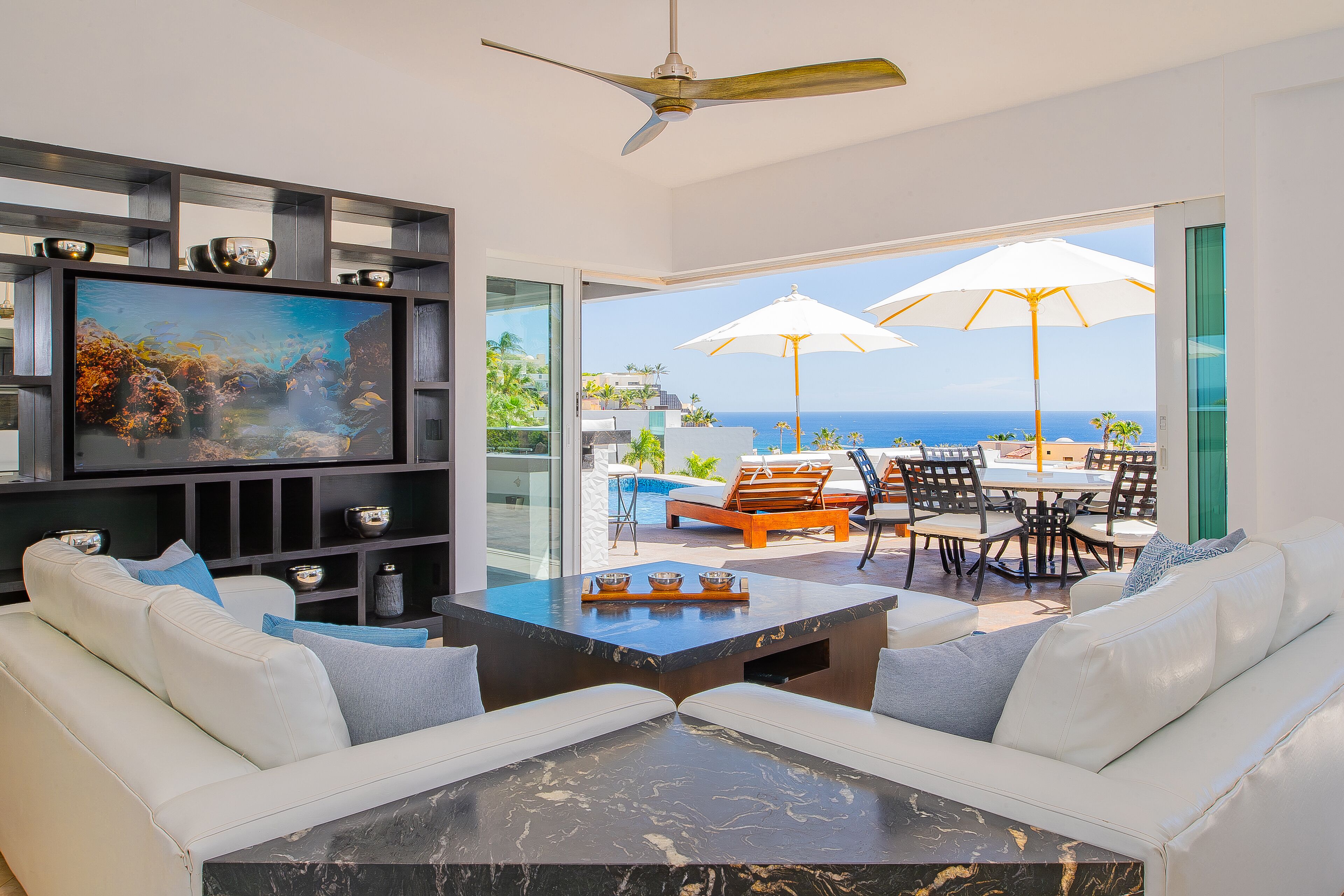 Smart TV, DVD player, books, stereo