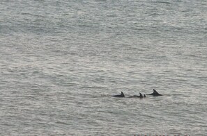 Sur la plage, chaise longue