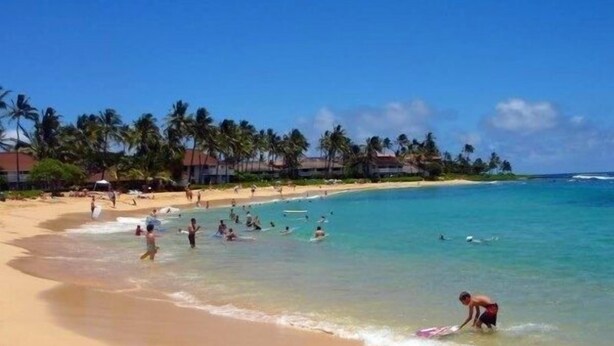 A beach with clear turquoise water, palm trees, and people swimming and surfing. - Ocean View Poipu Beach Condo (A/C) 804 (Poipu Beach, Koloa)