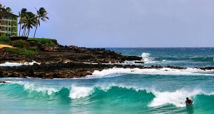 Ocean View Poipu Beach Condo (A/C) 804