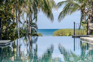 A clear view of a swimming pool with a view of the ocean, surrounded by palm trees and greenery.