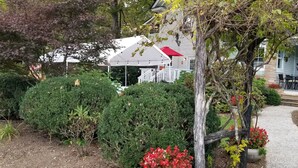 A white house with a red roof, surrounded by dense greenery and a gravel path leading to a porch with outdoor seating. - Charming home, perfect for families, Bikers,  Brevard College, College,  camps  (Brevard)