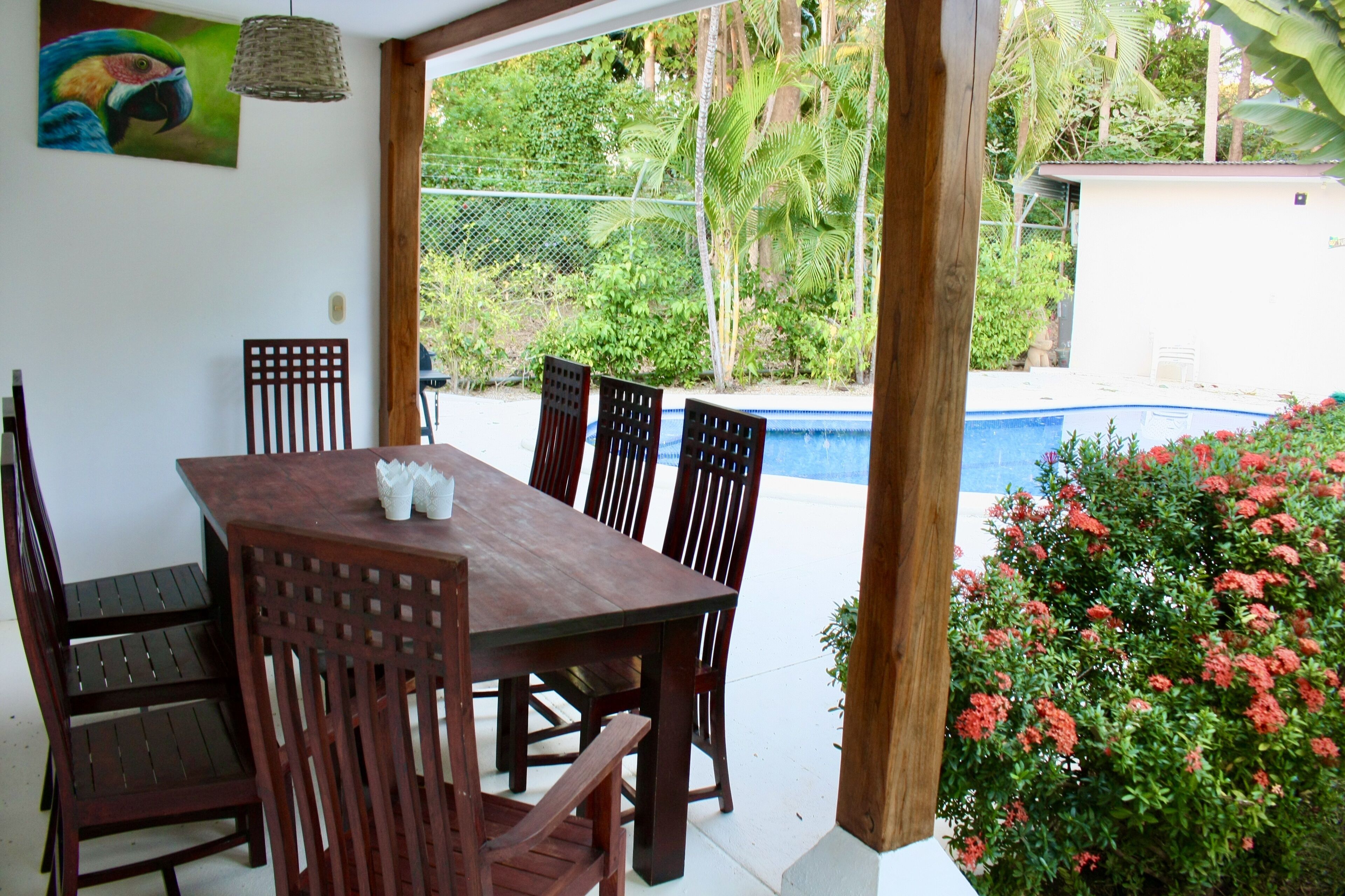 A dining area with a wooden table and chairs, a painting of a parrot, and a view of a swimming pool and greenery.