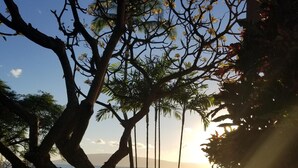 Un sendero que conduce a una zona verde con vista al océano y un atardecer.