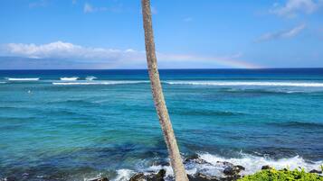 Beach nearby, sun loungers
