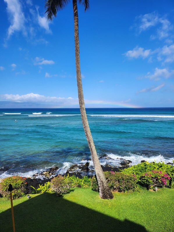 Nær stranden, solsenger og strandhåndklær