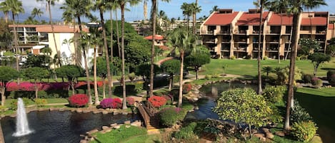 Jardines del alojamiento