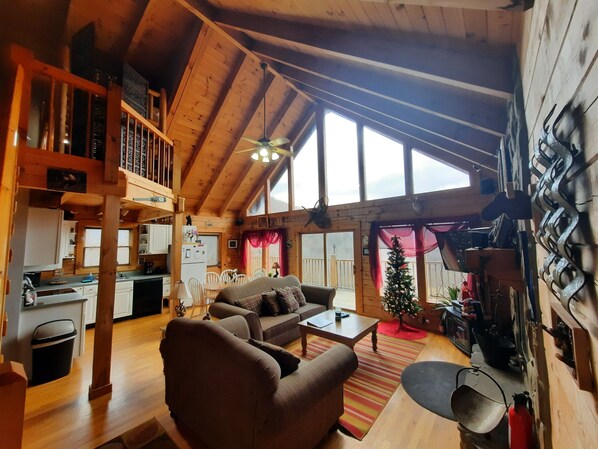 Flat-screen TV, fireplace, DVD player, books