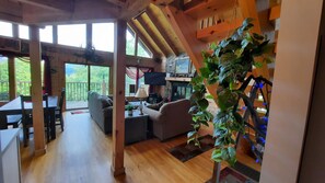 Televisión de pantalla plana, chimenea, reproductor de DVD y libros 