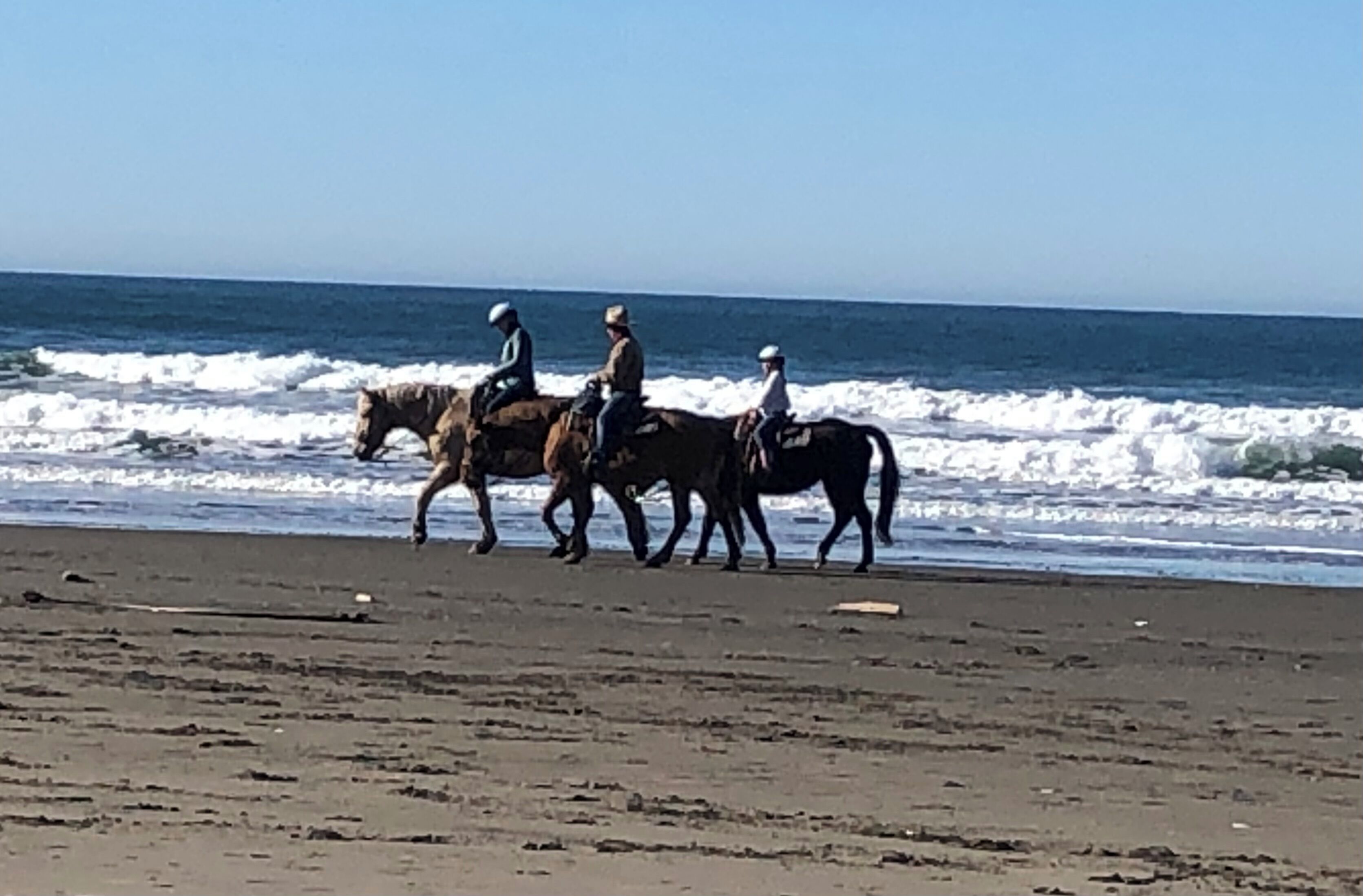 Trois personnes à cheval, qui chevauchent le long d’une plage où les vagues se brisent sur le rivage.