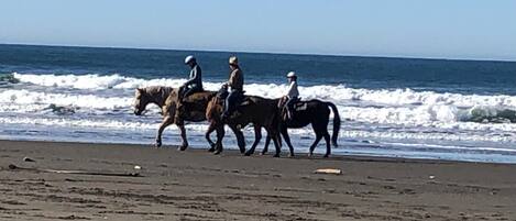 Trois personnes à cheval, qui chevauchent le long d’une plage où les vagues se brisent sur le rivage.
