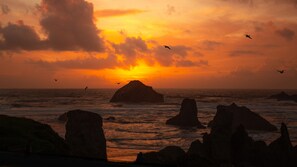 A sunset over the ocean with rocky formations and birds flying. - Beach House W Ocean Views, Hot tub! 3Golfer en suites, Pets OK, July Openings! (Bandon)