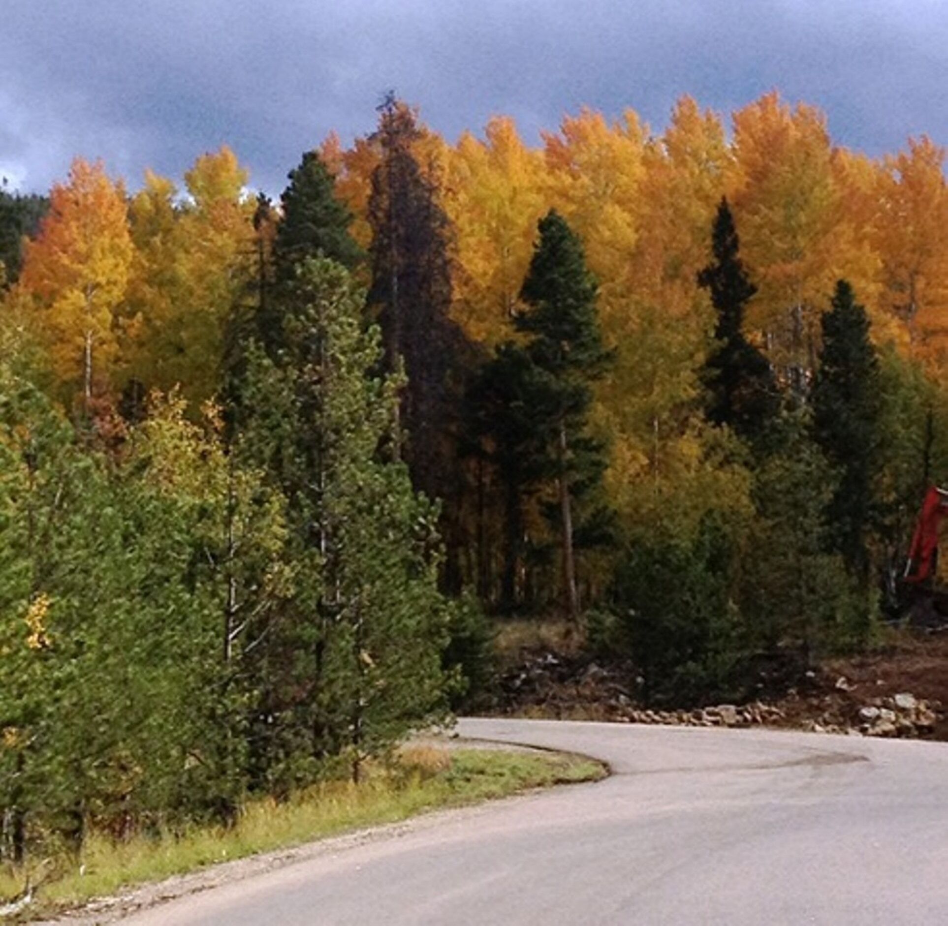 A road curving through a forest with autumn-colored trees.