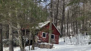 A cabin surrounded by trees with a snow-covered ground.