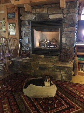 Interior - Blue Ridge Getaway-Relax on the Front Porch--Wildlife Galore! (Fleetwood)