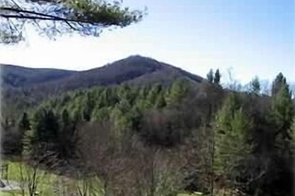 Àrea exterior de l'allotjament