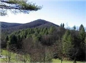 Un paysage montagneux avec une forêt dense.
