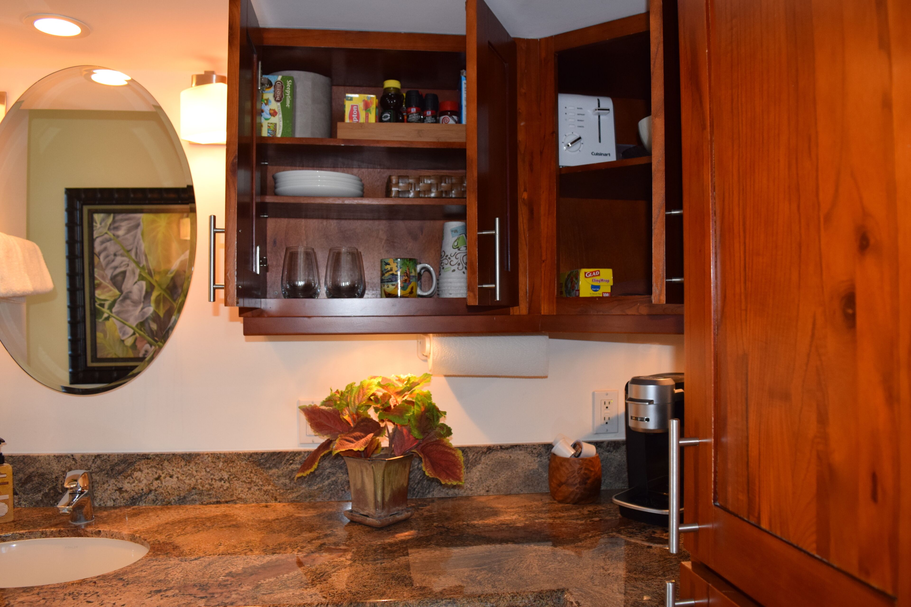 Una cocina con encimeras de granito, cafetera y planta en maceta.