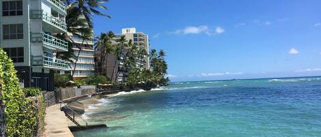 A coastal hotel with a concrete walkway along the beach, palm trees, and ocean views.