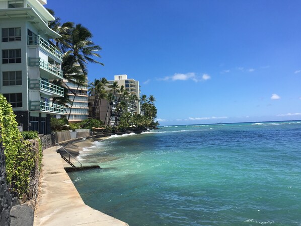 A coastal hotel with a concrete walkway along the beach, palm trees, and ocean views.
