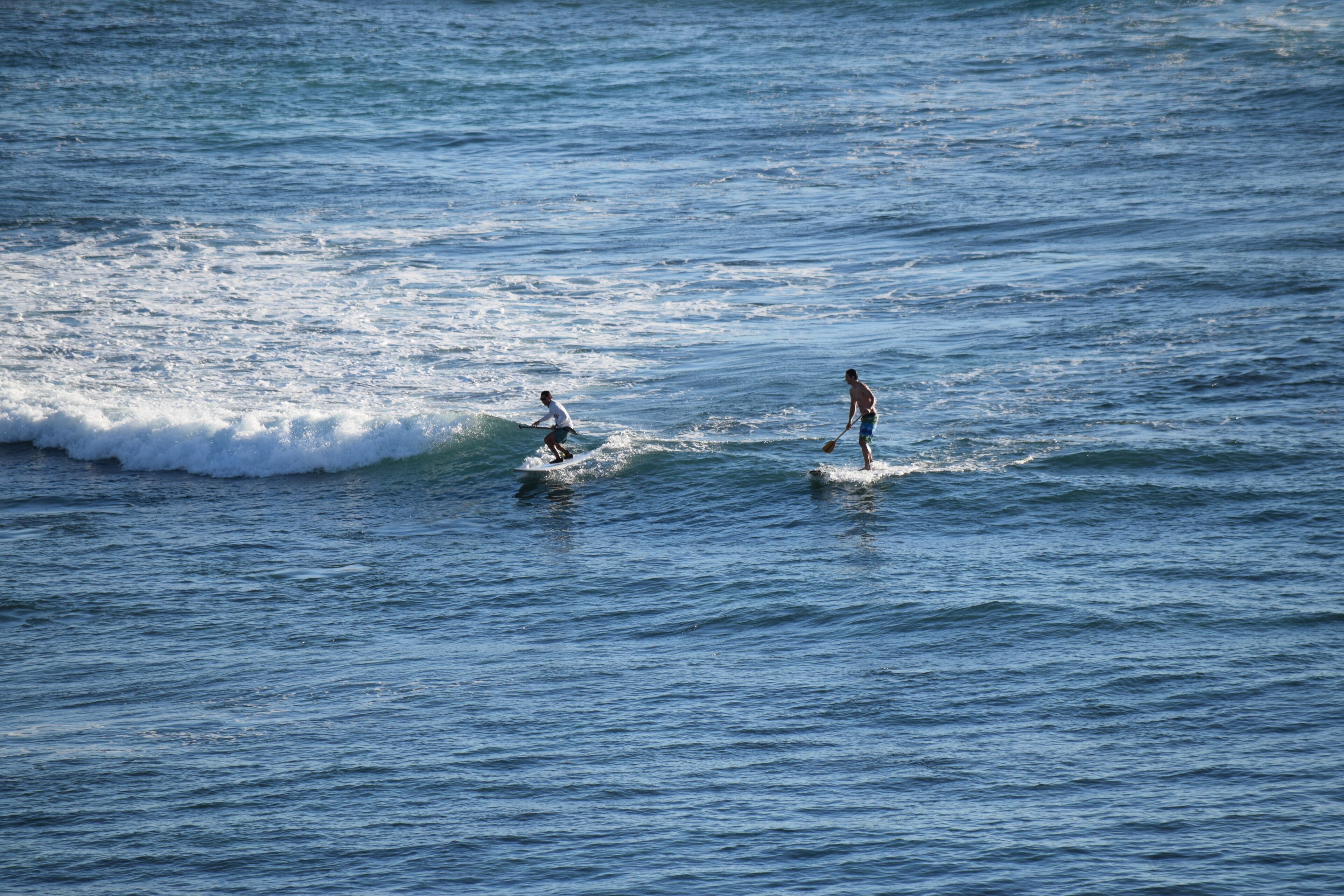 Two individuals on surfboards in the ocean.