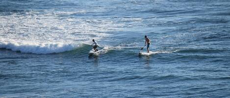 Two individuals on surfboards in the ocean.