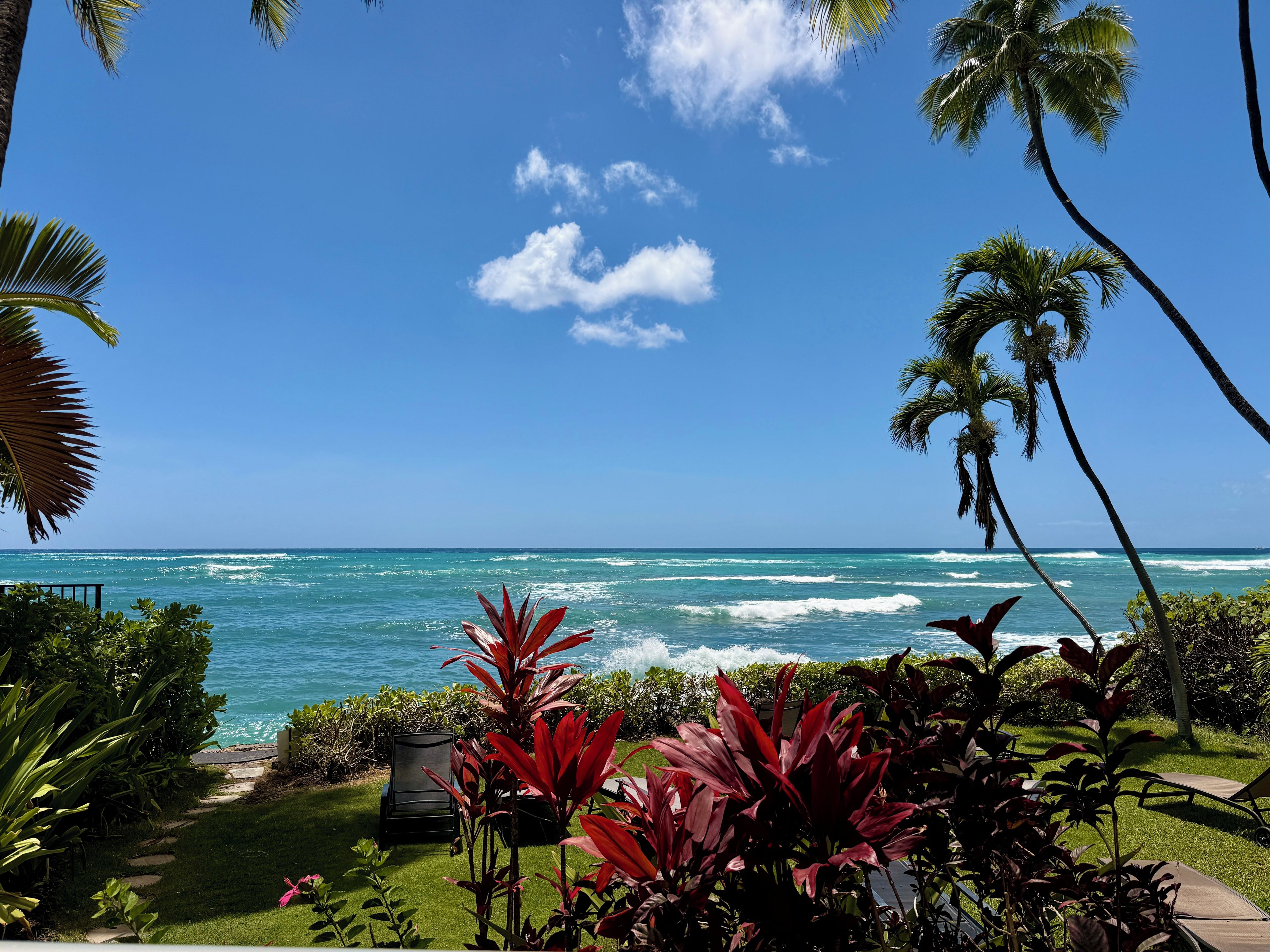 A view of the ocean with waves, a clear sky, and tropical vegetation.