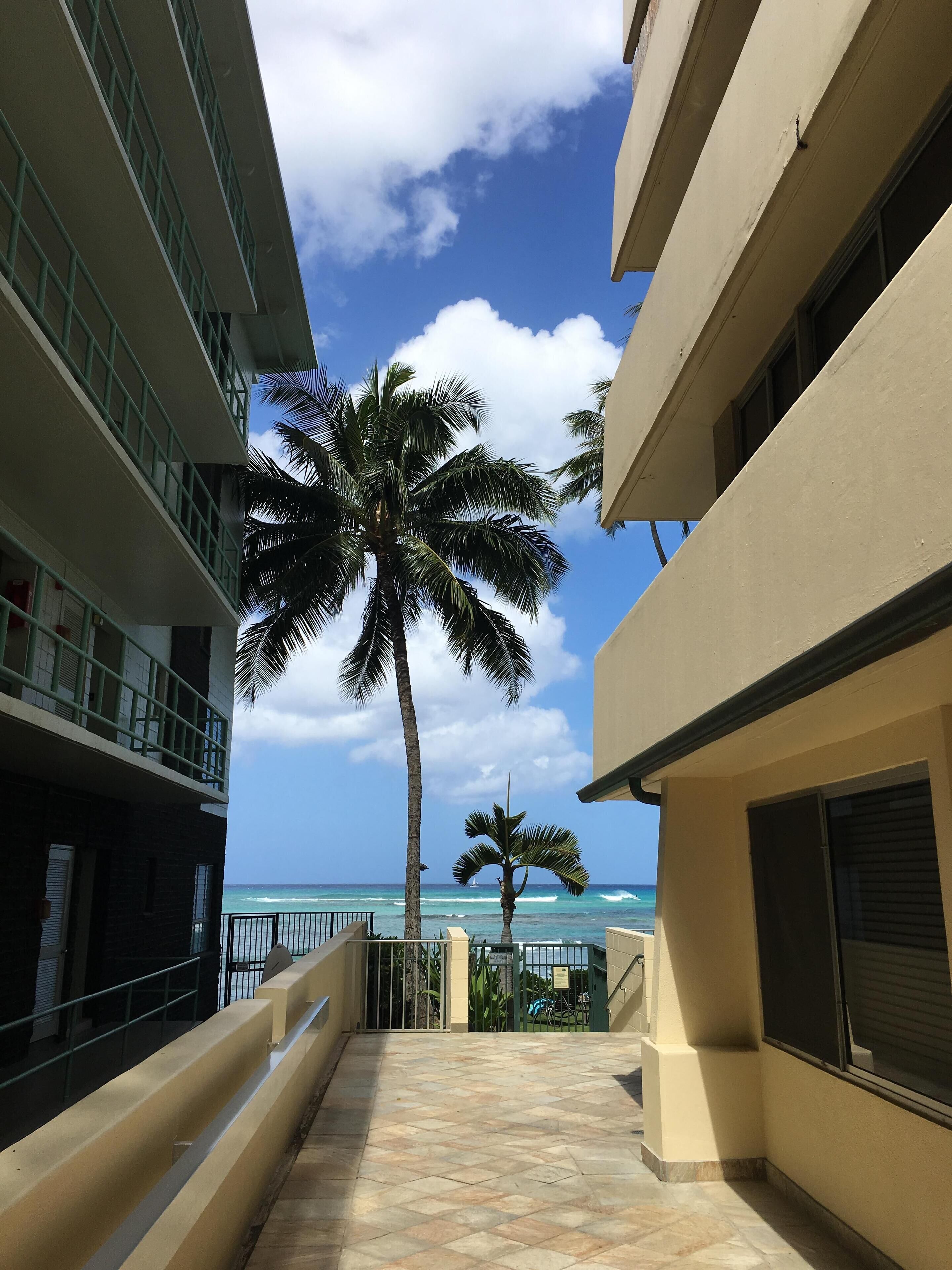 A corridor with a view of the ocean and palm trees.