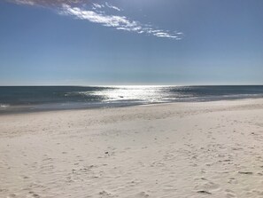 On the beach