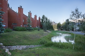 Ulkoalueet