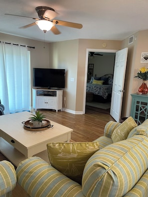 Smart TV, DVD player, books, music library