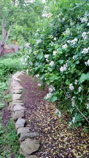Un sendero de piedra flanqueado por un seto verde y frondoso con flores blancas.
