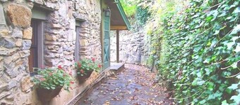Asheville Downtown Area Stone & Log Cabin, Fenced & Gated Quarter-Acre, Hot Tub 