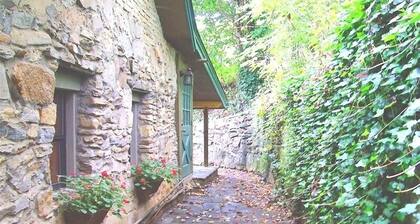 Asheville Downtown Area Stone & Log Cabin, Fenced & Gated Quarter-Acre, Hot Tub