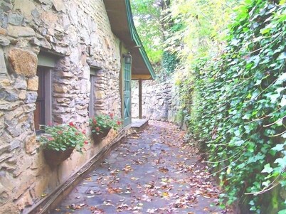 Asheville Downtown Area Stone & Log Cabin, Fenced & Gated Quarter-Acre, Hot Tub 