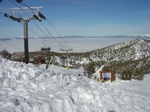 Lumi- ja hiihtourheilulajit