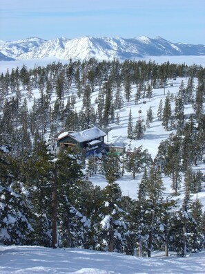 Lumi- ja hiihtourheilulajit