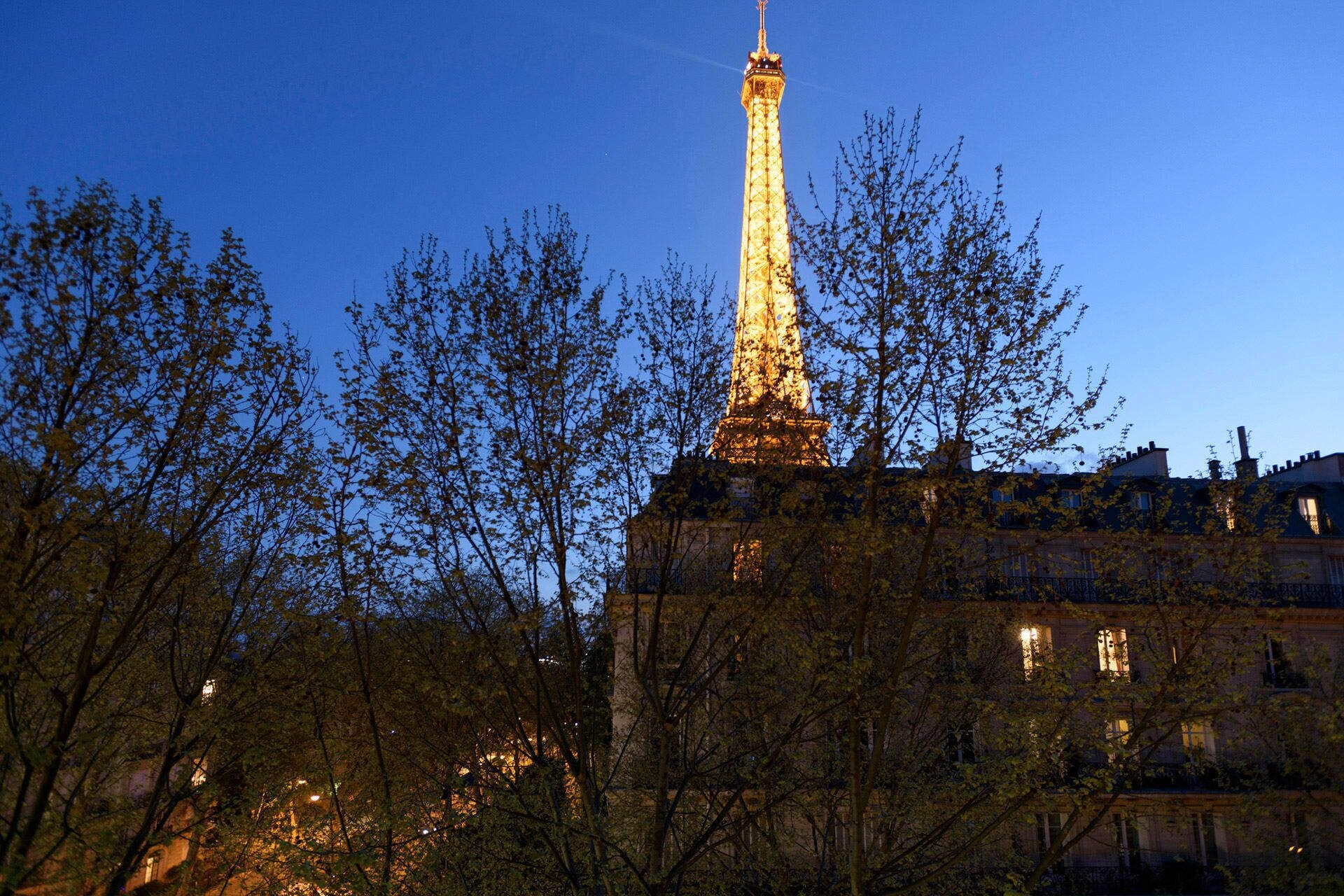 La Tour Eiffel illuminée, avec les arbres et les bâtiments environnants.