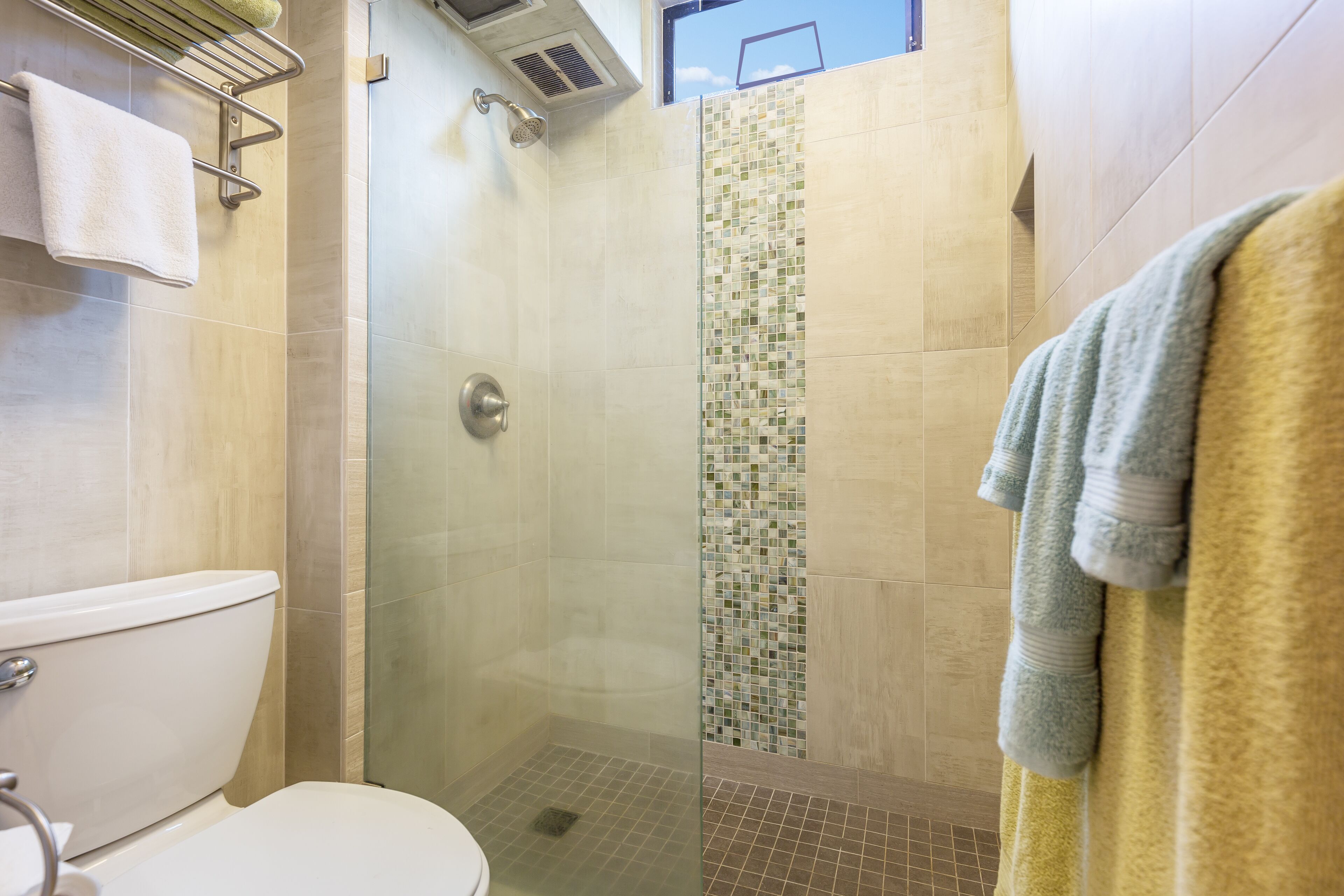 A bathroom with a glass-enclosed shower, a toilet, and a towel rack.