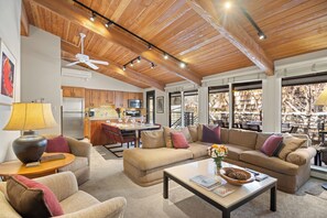 TV, fireplace, DVD player