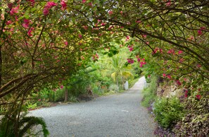 Overnattingsstedets uteområder